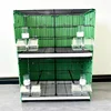 Gabbia Verde con Pannello Posteriore