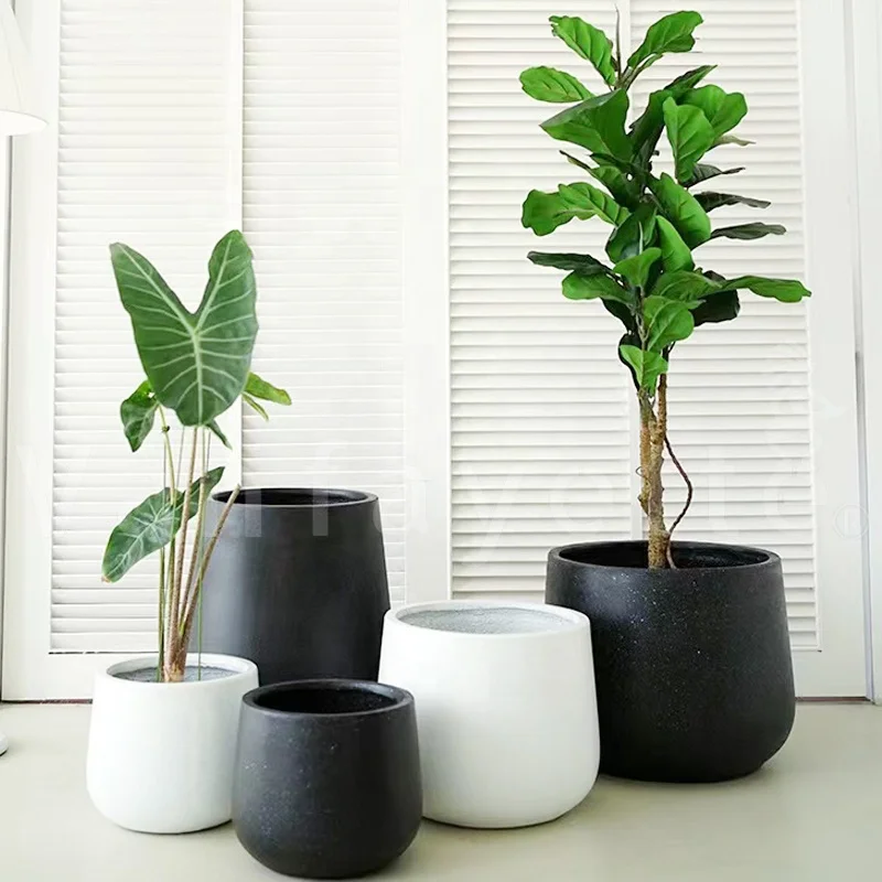 white potted plant Ainslie Planter main image 0