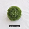 Green caryophyllum-dark green