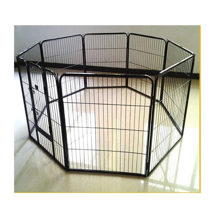 automatic cat feeder chewy