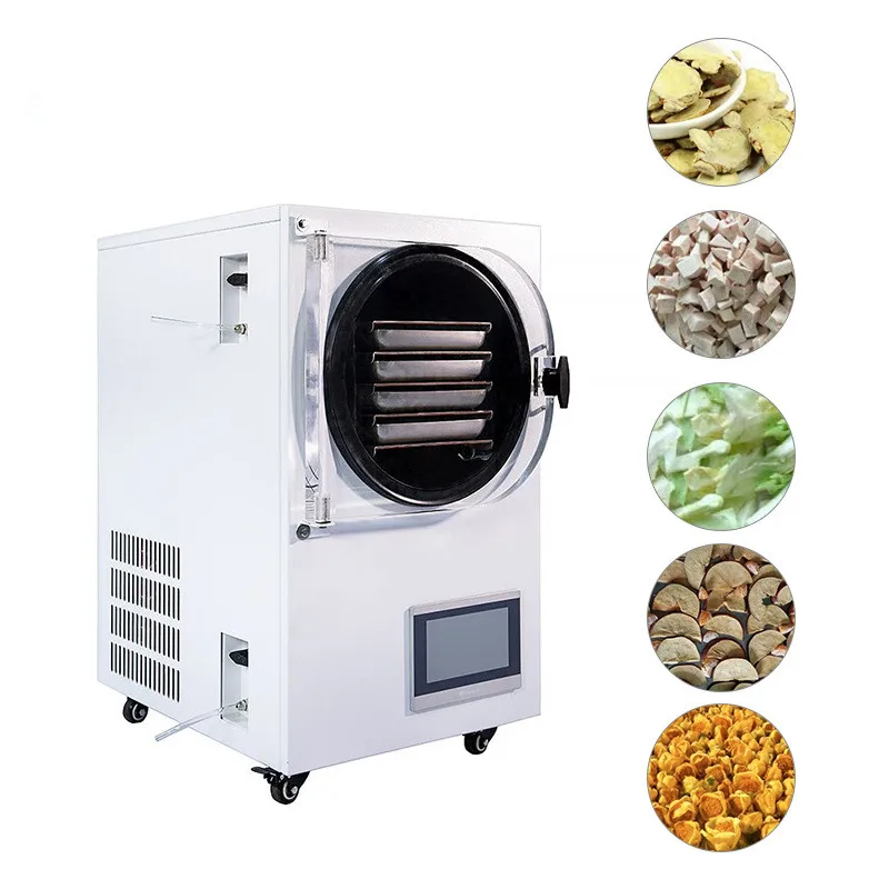 Low Price Freeze Drying Machine Sublimation Condensation Dryer Vacuum Lyophilizer Price Freeze Drying Equipment