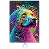 Multicolor-A11
