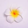 White+Yellow
