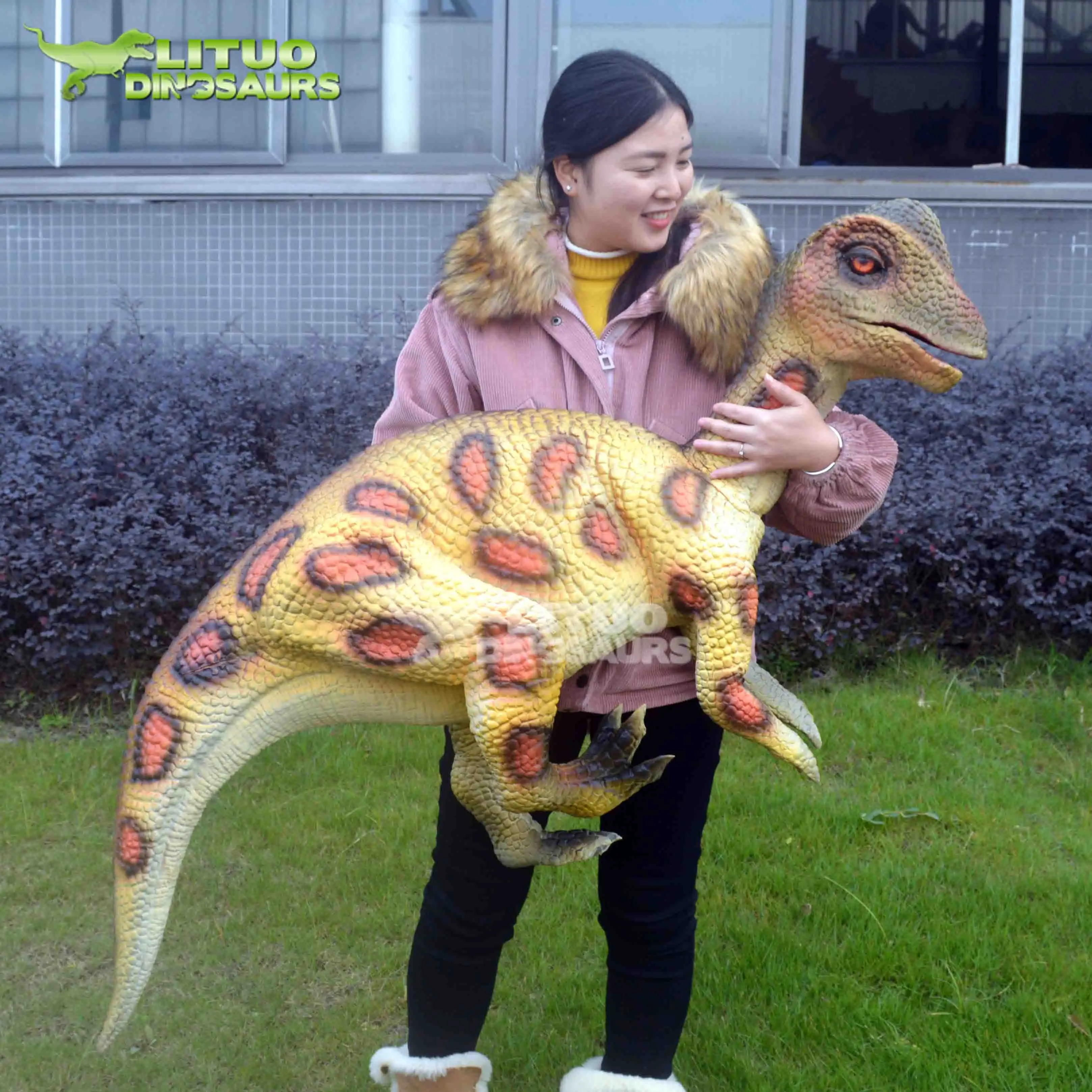Marionnette de main en carton Alex le T-rex 20,5 x 29 cm Marionnette de main en carton Alex le T-rex 20,5 x 29 cm