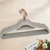 Translucent golden hook, light gray color