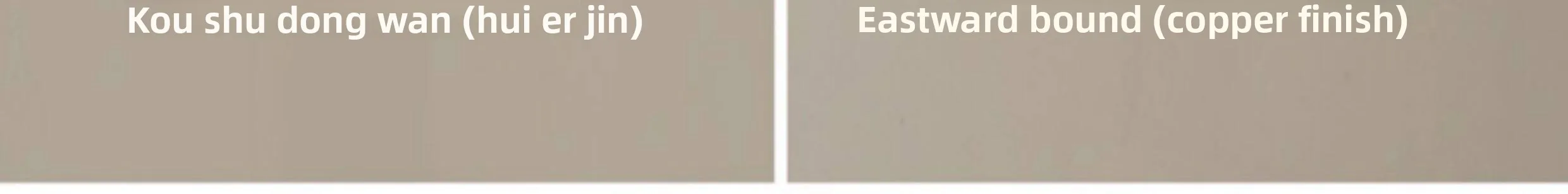 Extended company profile