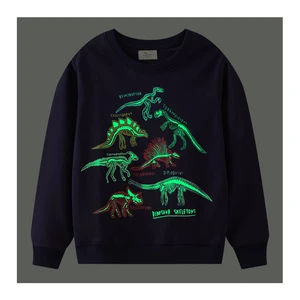 YOEHYAUL Custom Glow in the Dark Boy Toddler Crewneck Sweatshirt Dinosaur Print Boy Kids Pullover Sweatshirt for Children