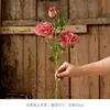 1 burnt-edged rose in rose red