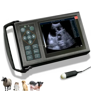 Cheap Handheld Animal Portable Full Digital Veterinary Diagnostic Equine Ultrasound Machine