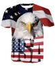 American flag with eagle