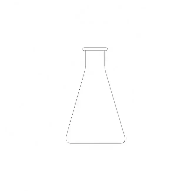 Lab Glasswares Glass Conical Flask