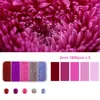 A riot of colors