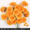 ออเรนจ์ รอย โรส