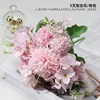 Juego de hortensias de 5 puntas Effie [Playful Pink]