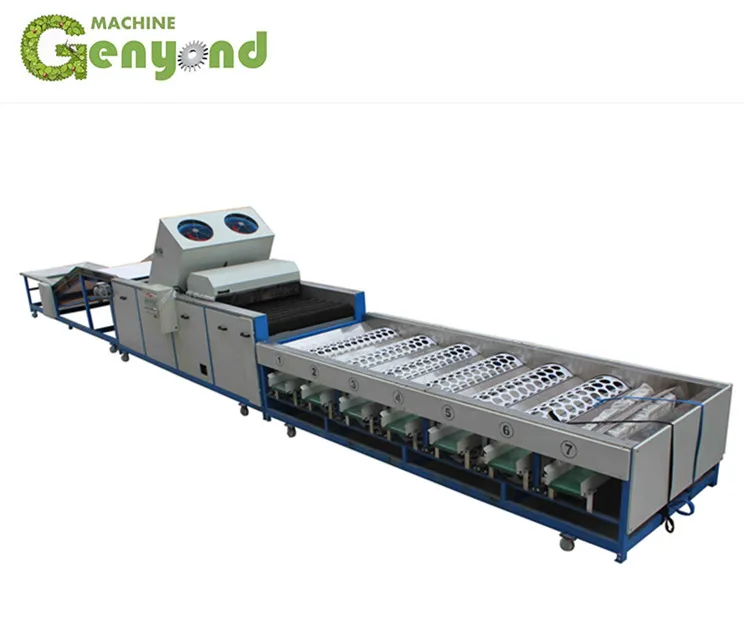 Large APPLES Fruit Washing Machine Sorting Fruit Polishing Machine Waxing Machine on SALE