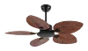 Black Walnut