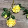 1#  3 teste di Ranunculus asiaticus giallo brillante