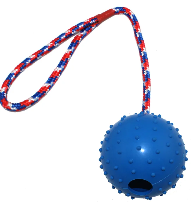 Prickly Ball Piercing Rope Bite-resistant Interactive Toy Pet Reward ...