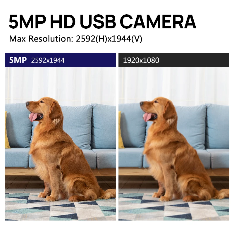 PS5520 5MP WDR USB Camera Module Wide Angle Lens CMOS 1/2.5 Wide Dynamic Range Camera for Face Recognition factory