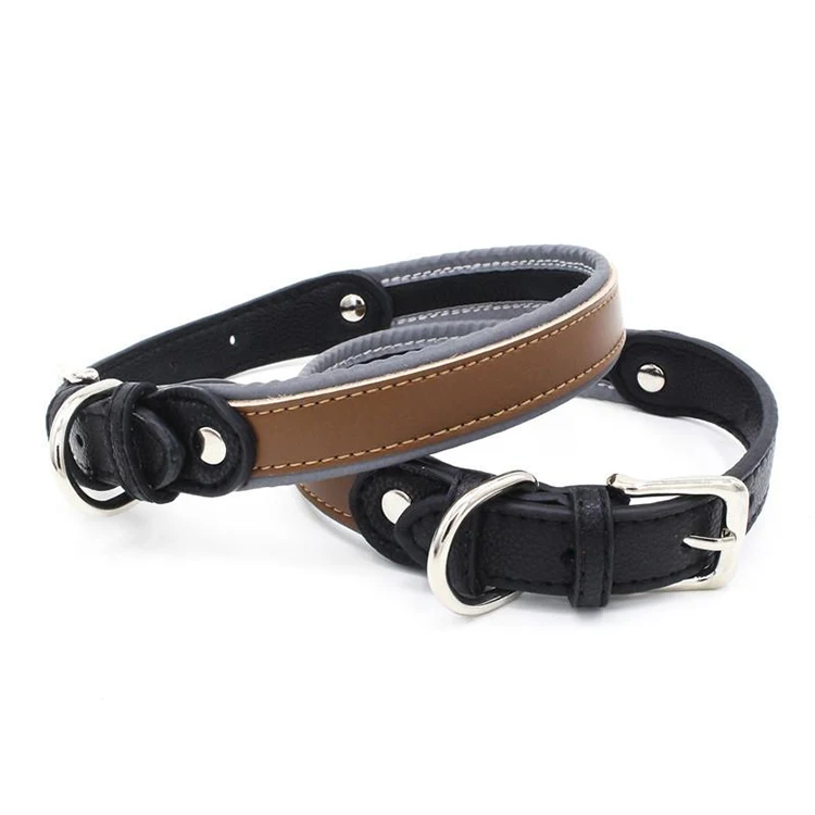 innovative dog collars