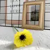 Amarillo