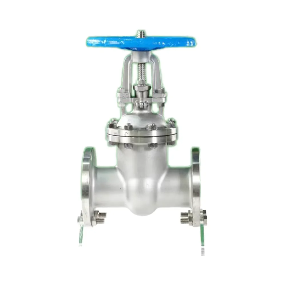 DN80 PN16 Industrial Carbon Steel Rising Stem Water Flange Gate Valve with Pipe Fittings