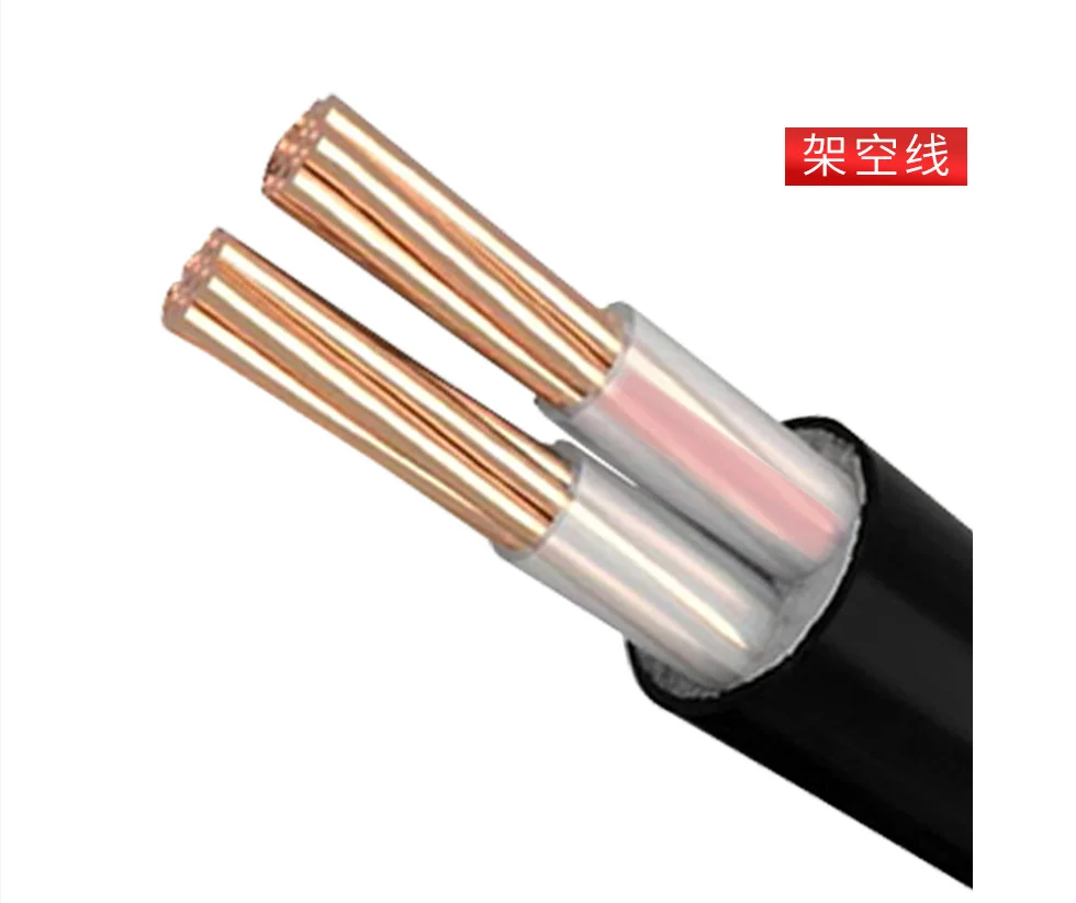Nh&agrave; m&aacute;y trực tiếp ZC-YJV c&aacute;p điện 2 l&otilde;i * 1.5/2.5/4/6/10/16/25/35/50/70 feet vu&ocirc;ng đồng/nh&ocirc;m l&otilde;i d&acirc;y cho x&acirc;y dựng