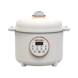 5L Multi Electric Pressure Cooker Visual Timer with Simple Cooking for Home Appliances Kitchen