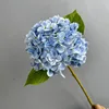 Blu-chiaro