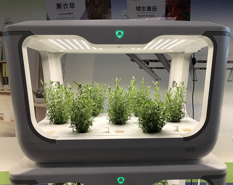 mini greenhouse-9.png