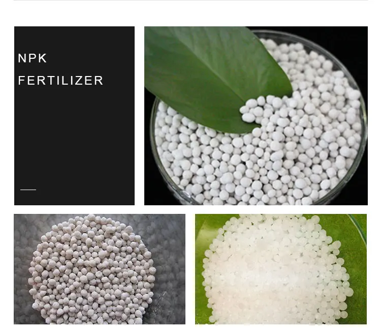 npk 20-20-20 agricultural grade water soluble npk granular compound fertilizer prices