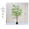 [Hot Selling] Green Multi-Stem Mini Maple Tree 210cm