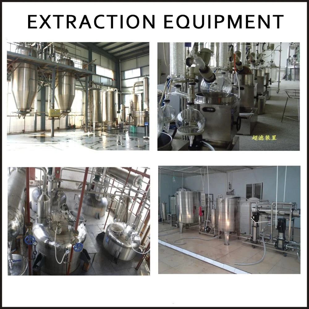 Supply Rennet Powder High Quality Food Additive Microbial Rennilase Cheese Rennet