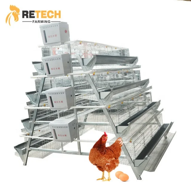 Poultry Farm Simple Design Manual Layer Cage for 10000 Chickens House
