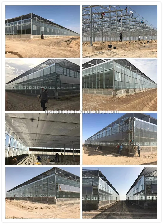 Intelligent glass greenhouse