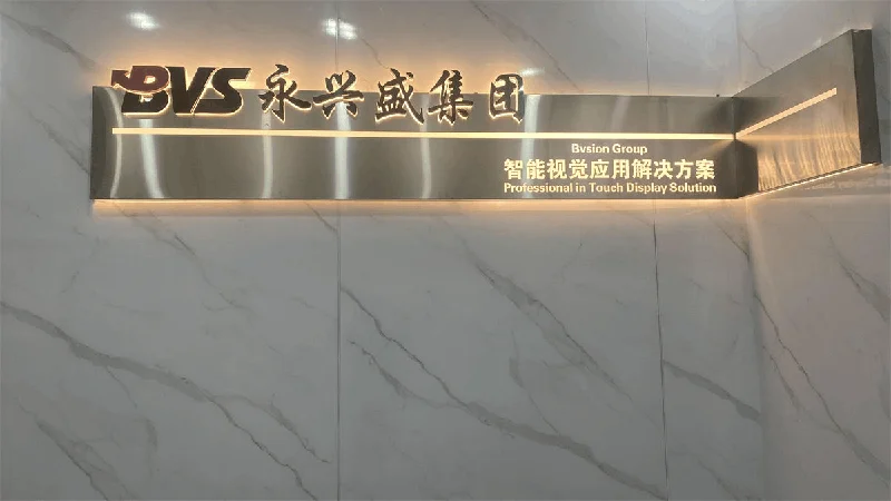 BVSION GROUP CO., LIMITED 1