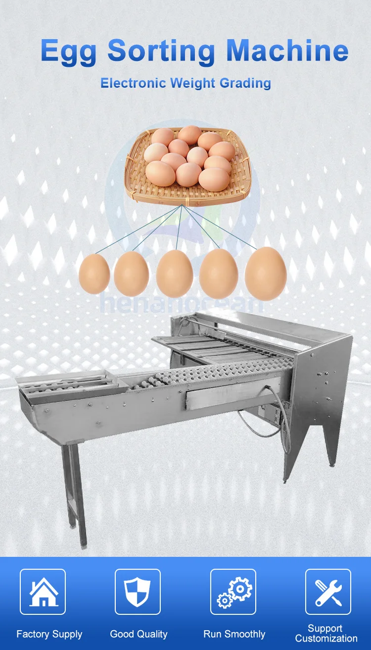 Chicken Egg Weight Automatic Classify Sorter Size Small Scale Grader Sort Egg Grade Machine By