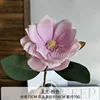 Magnolia pink