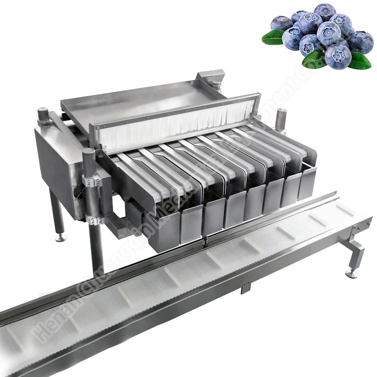 Blueberry Sorter Processing Machines Multihead Weigher Blueberry Filling Machine
