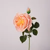 สีส้ม