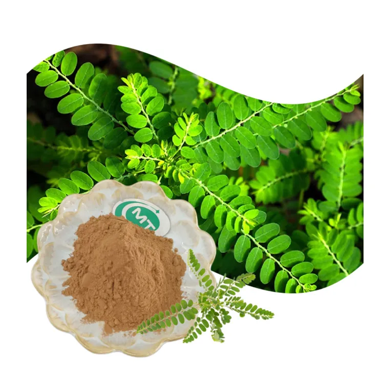 High Quality Free Sample Plant Extract Phyllanthus Niruri Extract 10:1 Chanca Piedra Extract Bhumi Amla Powder Bulk