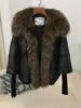 black brown1
