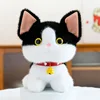 Chat noir et blanc