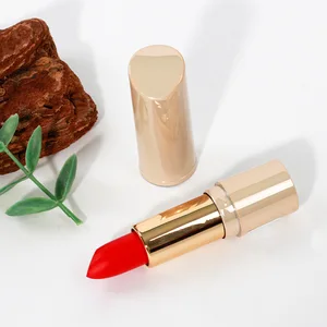Premium Natural Mineral Beauty Lipstick Set Waterproof Matte Gel Regular Size 2g Custom Logo Vegan Color Changing Moisturizing