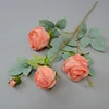 Peach blossom pink