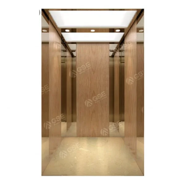 
10 лучших лифтовых компаний, бытовые Пассажирские Лифты, цена в мире 