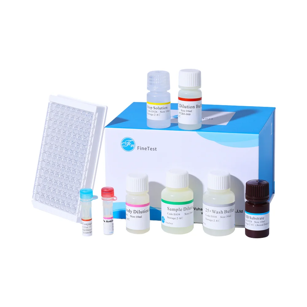 FineTest High Sensitivity BMP 2 ELISA Kit Scientific Research Chicken Bone Morphogenetic Protein 2 Assay Chemical Reagents