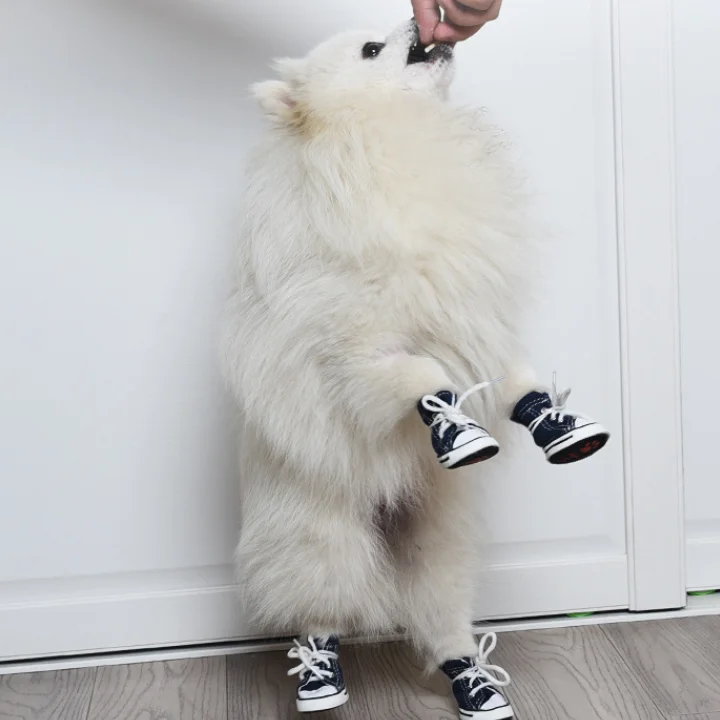 2023 New Fashion Pet Cowboy Pet Shoes Converse Shoes Dog Accessories