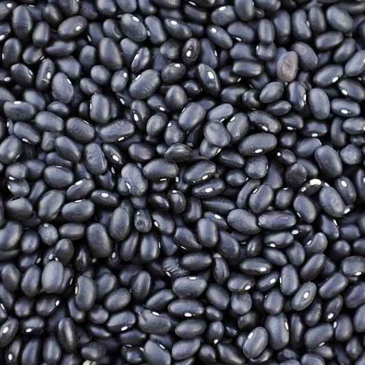 2022 Organic Black Kidney Bean Black Beans Price - Buy Dried Black ...