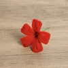#1 red